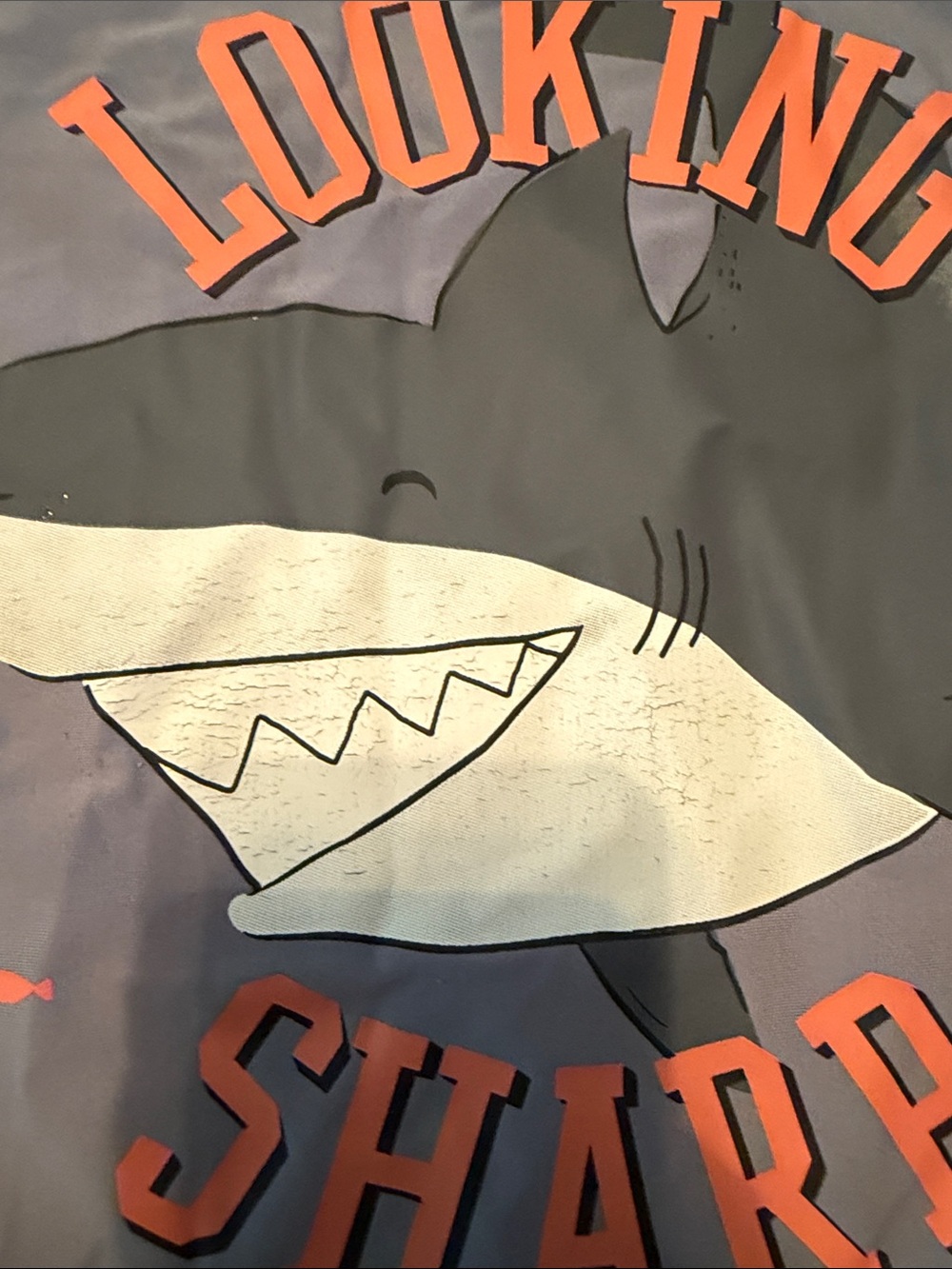 Carter's Boys Swim Rashguard Set — Black Crocodile Print & Gray Shark Graphic - Picture 4 of 5